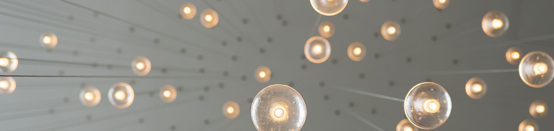 Numerous light bulbs hanging from the ceiling