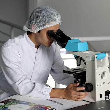 Forscher am Mikroskop