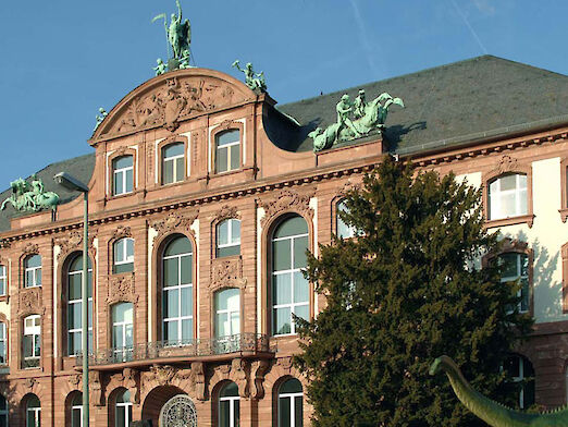 Senckenberg Museum Frankfurt am Main
