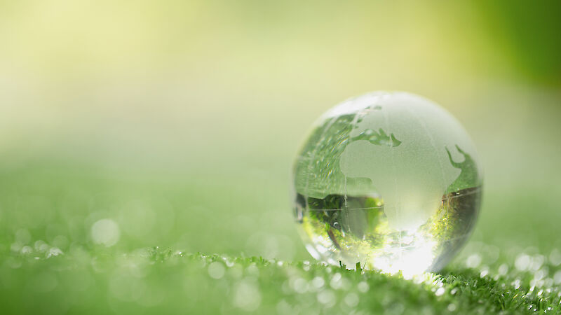 Close up of crystal globe resting on grass in a forest