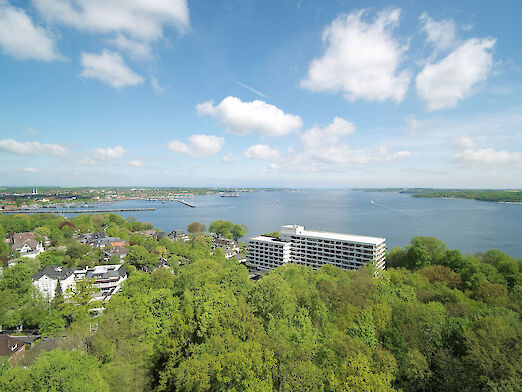 Aerial view of trees and an adjacent lake; in between the Maritim Hotel